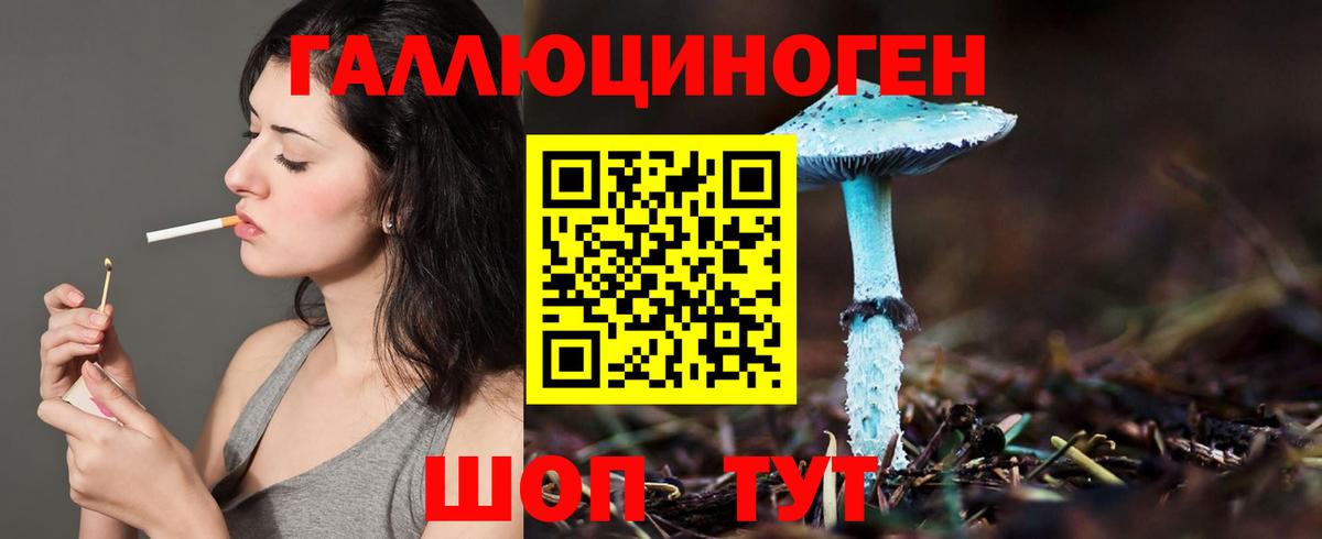 Красноуфимск  Галлюциногенные грибы прущие грибы  Вход с VPN 